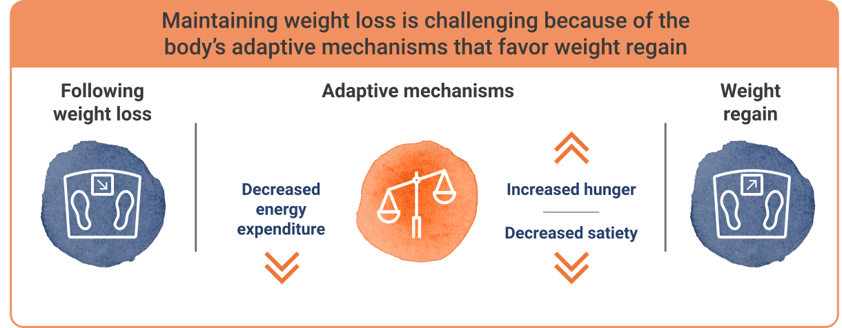 a graphic representation showing the process of weight maintainance